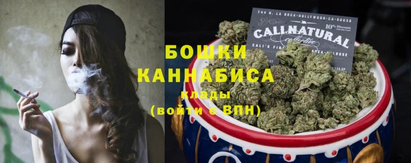 индика Пролетарск