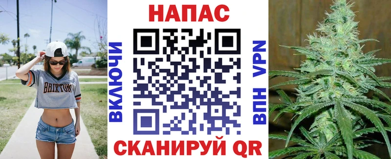 ссылка на мегу как зайти  Малоярославец  Бошки Шишки планчик 